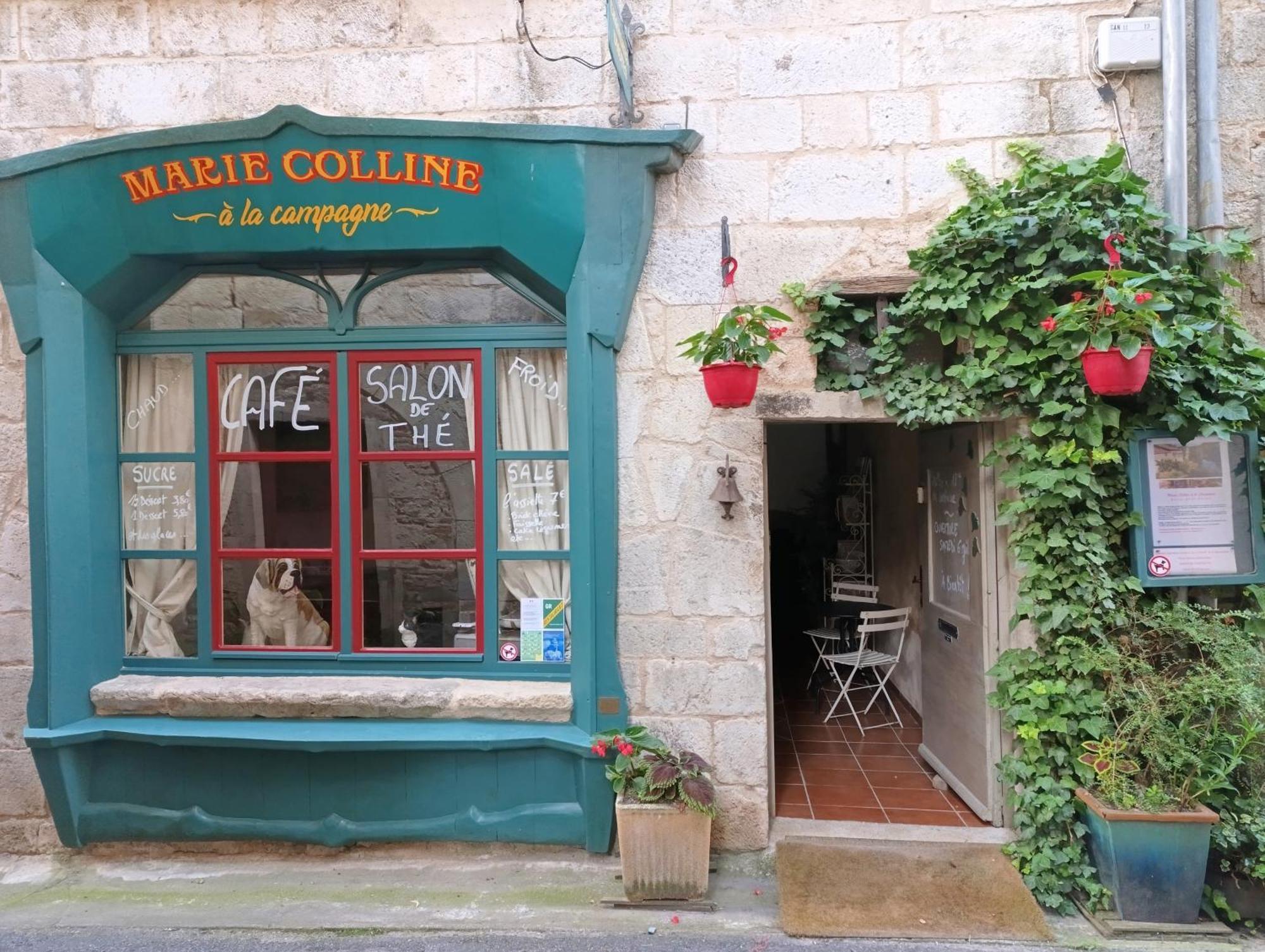 Marie Colline A La Campagne Bed and Breakfast Saint-Antonin Εξωτερικό φωτογραφία